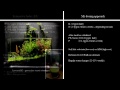 Planted tank - Tank Balance & nutrient dosing