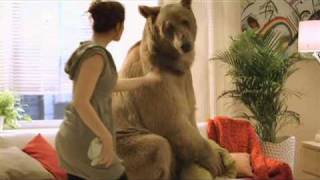 OBI bear 30