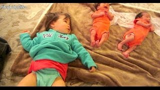 GIANT BABY! - March 15, 2014 - itsjudyslife vlog