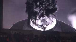 Hexagone - Indochine - Stade de France 27/06/2014