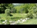 miniature