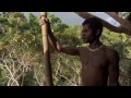 The Korowai Tribe (amazing tree-house builders from BBC's Human Planet).mp4