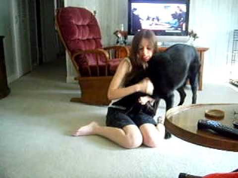 Girl Playing With Dog - Viduba is the best way of download, watch, share, v...