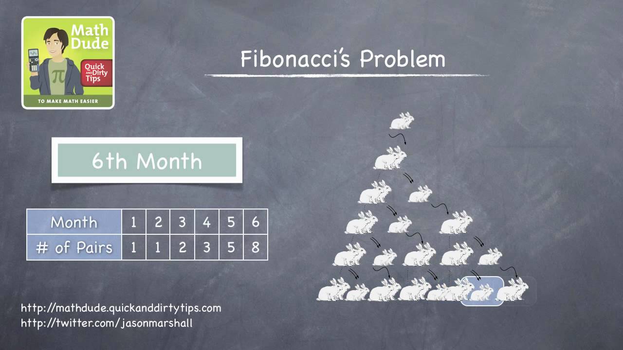 Math Dude 016 • Video Extra! • The Fibonacci Sequence...and Rabbits