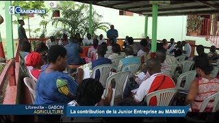 GABON / AGRICULTURE : La contribution de la Junior Entreprise au MAMIGA