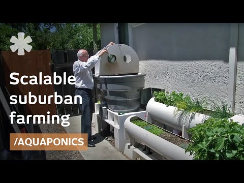 Internet of Farming: Arduino-based, backyard aquaponics - YouTube