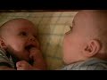 Twin Baby Boys Laughing at Each Other