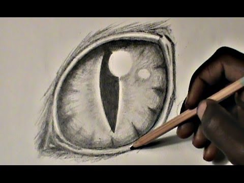 Step-by-Step: Drawing a Cat Eye - YouTube