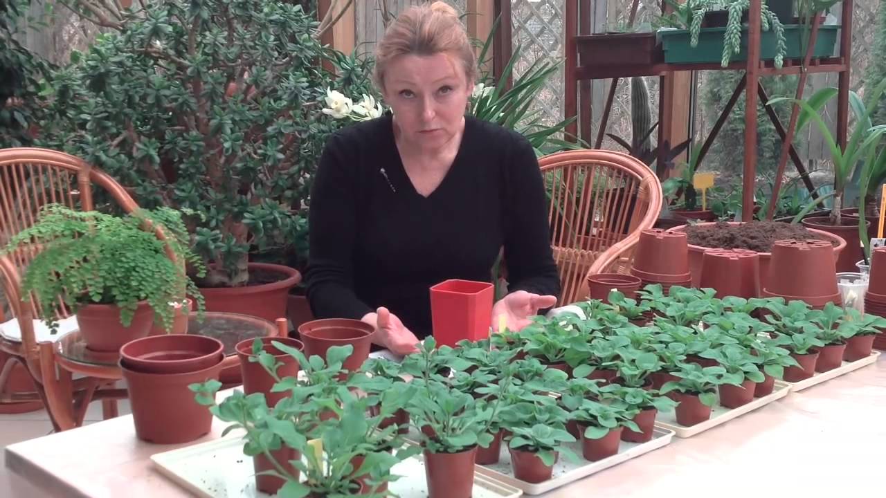 Набор шуточных подарков на юбилей женщине 21