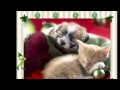 Les Chats de Noël