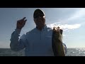 Tony Roach Fishing Report - 7/18/13