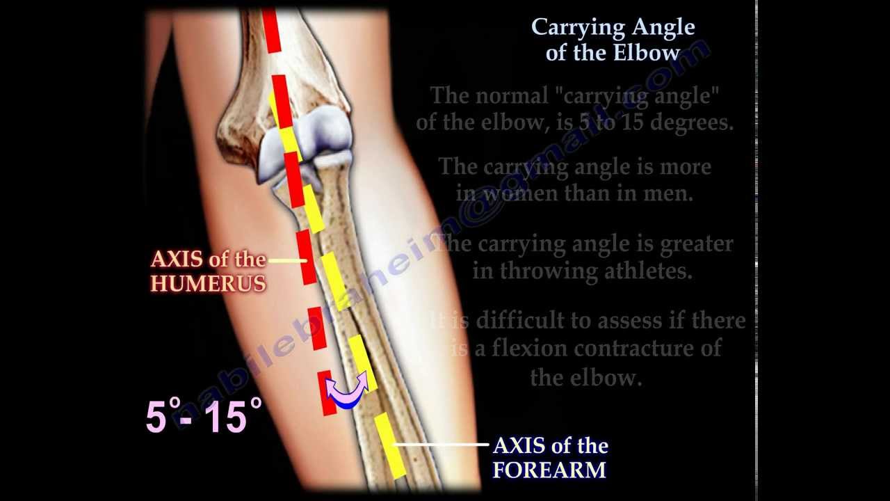 Carrying Angle Of The Elbow Everything You Need To Know Dr. Nabil