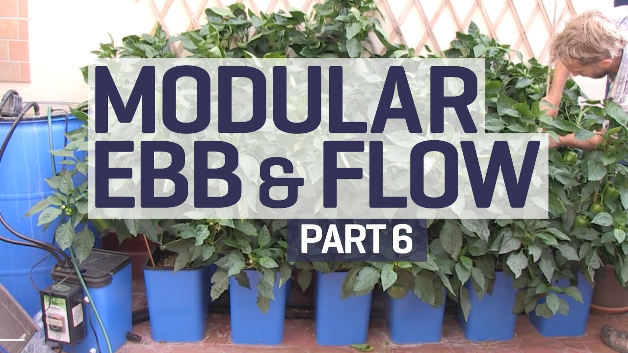 How to set up an Ebb &amp; Flow / Flood &amp; Drain Hydroponics Growing System ...