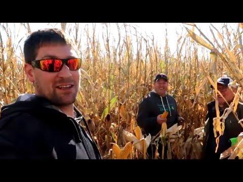 302 Bushels Per Acre