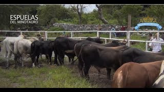 Cala de Toros Juliantla Gro 26 Ago 13