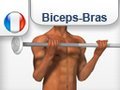 Flexion des avant-bras a la barre - Les Bras / Biceps