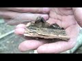 SurvivorDude: Solo Survival