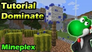 Como jogar Dominate - Mineplex