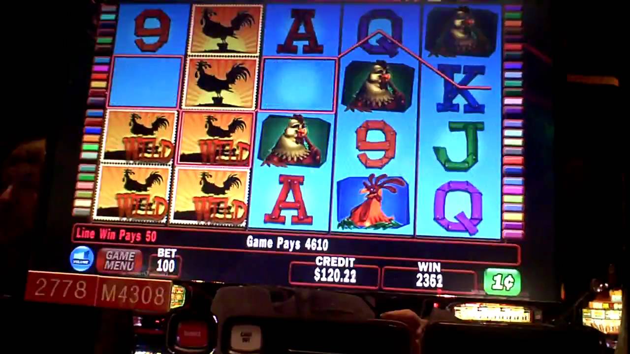 Roosters casino