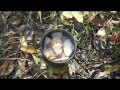 bushcraft cooking: hot dish&brew for cold weather... my way!