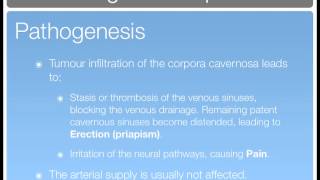 viagra cialis levitra which is best viagra cialis levitra which is best