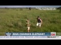 Man charges elephant, loses job