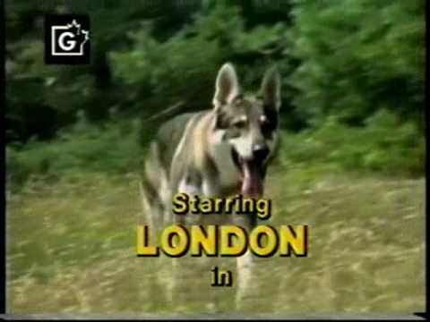 LITTLEST HOBO littlest hobo: