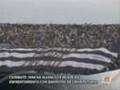 COMANDO SVR  MASACRADA POR LA TRINCHERA ( U )NORTE