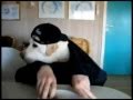 World's Funniest Video - January 2011 - Youtube