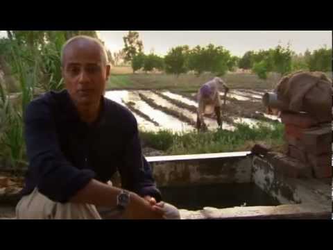 BBC Future of Food - Part 1: India