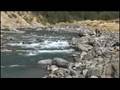 Teaser Nouvelle Zelande - Destination Mouche