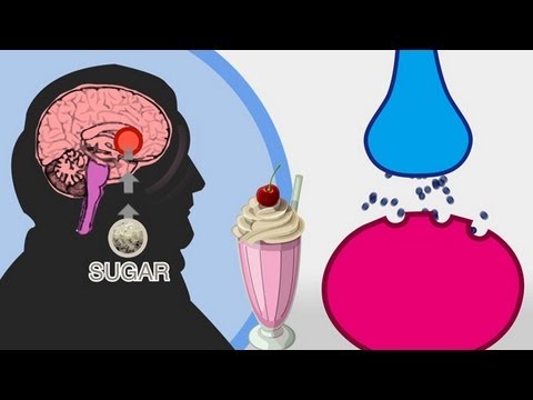 The Skinny on Obesity (Ep. 4): Sugar - A Sweet Addition