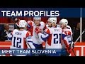 Slovenia Profile
