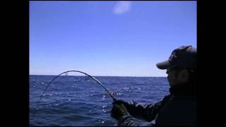 CARPENTER BLC70/20 SMC - YouTube