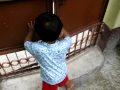 miniature