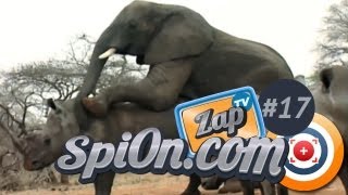 Le Zap de Spi0n TV #17