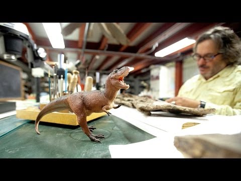 T. rex was a predator, KU research finds