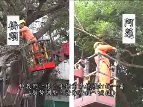 搶救珍貴老樹-褐根病防治(影片長度:8分58秒) 搶救珍貴老樹-褐根病防治(影片長度:8分58秒)