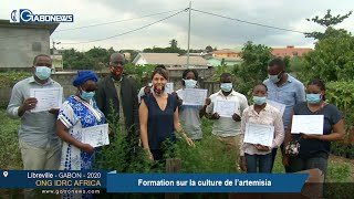 GABON / ONG IDRC AFRICA : Formation sur la culture de l’Artemisia
