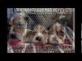 STOP VIVISECTION