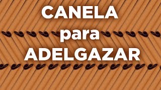 3 propiedades de la canela para adelgazar: Para qué sirve la canela si estás a dieta