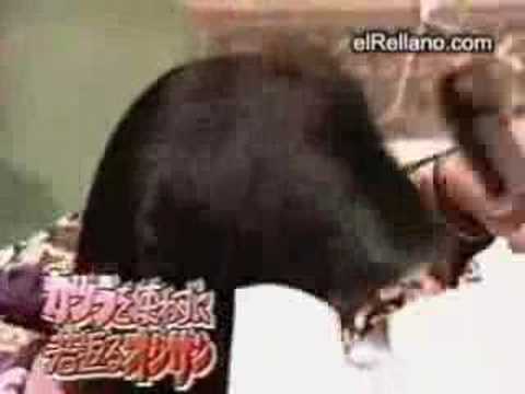 再生髮撇步