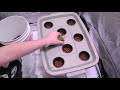 How to plant seedlings in a hydroponics system