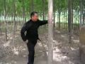 Han's baji tree practice2