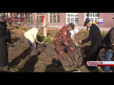 Глава г.Искитима поблагодарил участников акции "Посади дерево" Глава г.Искитима поблагодарил участников акции "Посади дерево"
