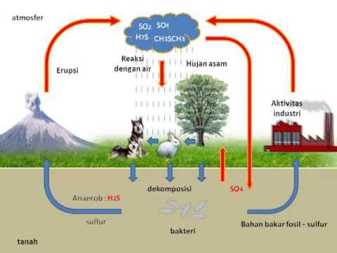 sulfur,sulphur,sulfur uses,sulfur production