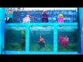 World&#39;s First Underwater Korean Traditional Costume Fashion Show