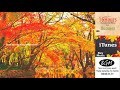 Relaxing Jazz Music - Instrumental CAFE MUSIC For Relax,Study,Work - Background Music