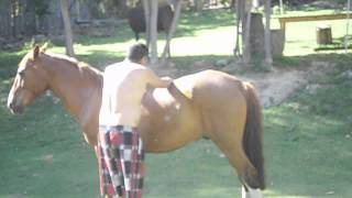 Como NO se debe montar un caballo