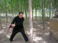 Han's baji tree practice1